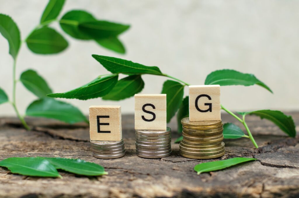 ESG abbreviation on wooden cubes, on coins framed by green leaves. Environmental social management